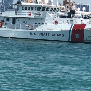 Meet your Posher, Bernard